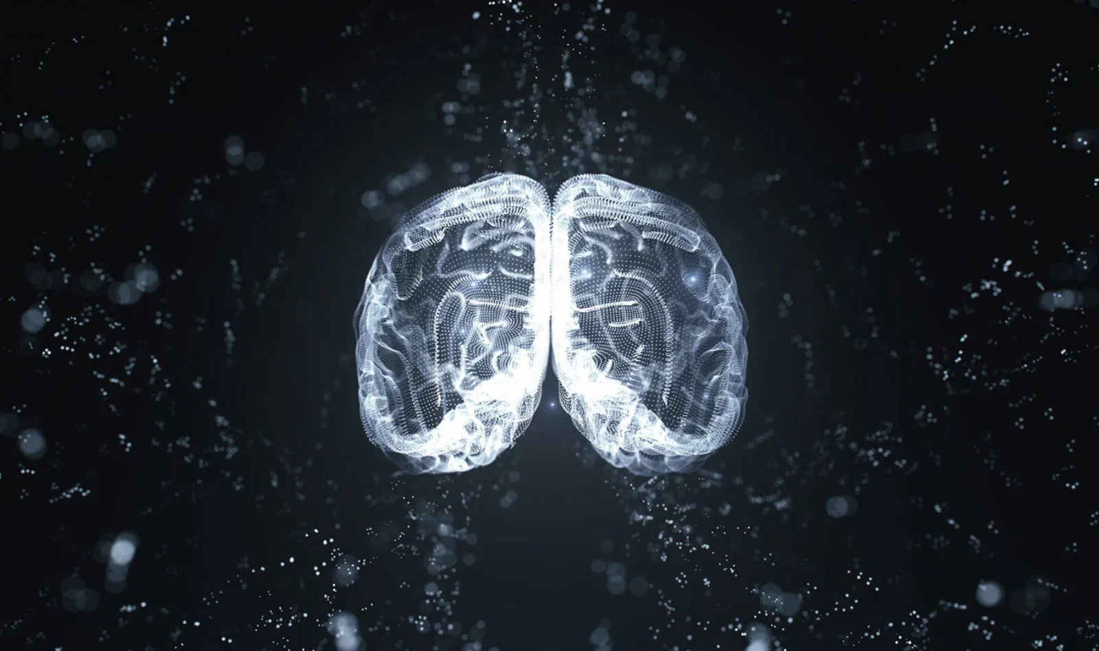 AI-Data-Vibes-In-Modern-Web-Design